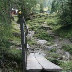 Rundweg Elmautal - Filzmoosalm - Loosbühelalm - Kurzmeldung  Elmautal-055-150x150
