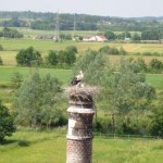 Ausflugstipp: Der Brombachsee im Fränkischen Seenland - Kurzmeldung  Storchennest-Gunzenhausen-150x150