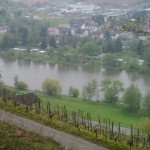 Mainwanderweg von Erlenbach nach Klingenberg - Kurzmeldung  Main-Wanderweg-Klingenberg-Blick-Main-Wörth-150x150