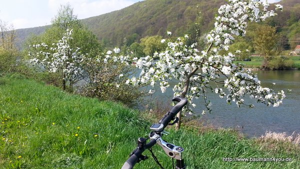 Frühling / Blühende Obstbäume