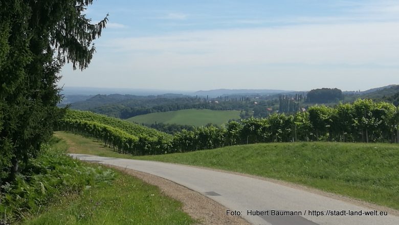 Drei wunderschöne faszinierende Touren mit sagenhaftem Fernblick rund um Leutschach / Steiermark - Österreich RSS-Feed Steiermark Wanderungen Wohnmobil-Touren  097-IMG_20200826_114529-780x440