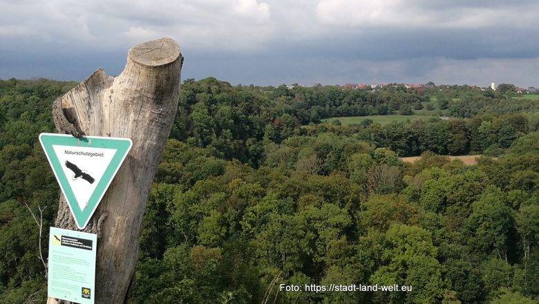 Radtouren und historische Altstädte rund um Kocher und Jagst - Baden-Württemberg Deutschland Flüsse und Seen Flussradwege Outdoor-Erlebnisse Radtouren RSS-Feed Wohnmobil-Touren  038-IMG_20230913_155204-780x440